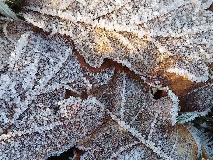 Frozen in time during January Frozen in time during January