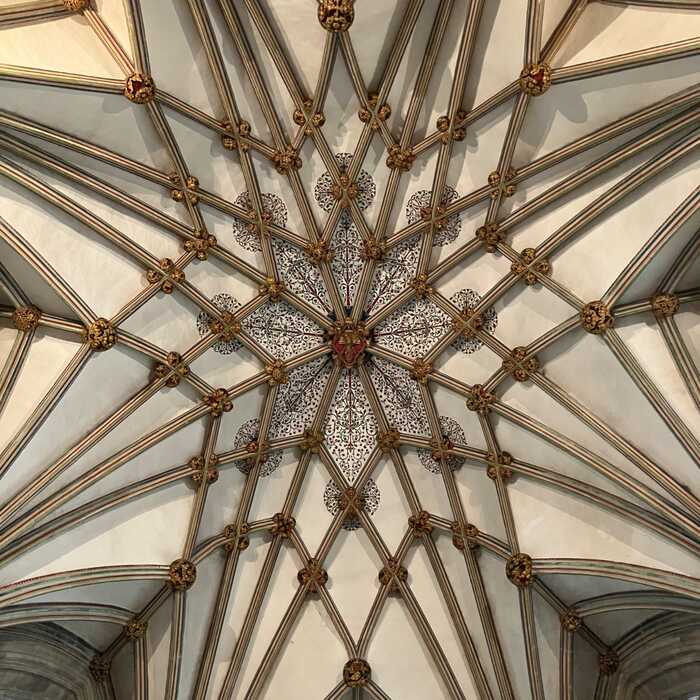 Geometry made by man, but seen in so much of our natural world - the ceiling at Wells Cathedral Geometry made by man, but seen in so much of our natural world - the ceiling at Wells Cathedral