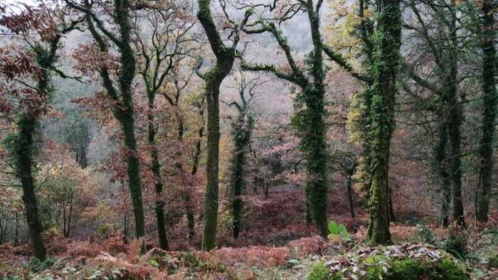 Sacred Space - Hawkridge on Exmoor Sacred Space - Hawkridge on Exmoor